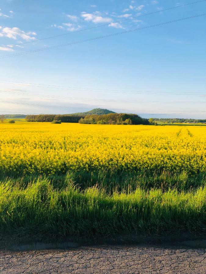 Nibylandia Motylkowa Vila Nowa Wies Grodziska Exterior foto