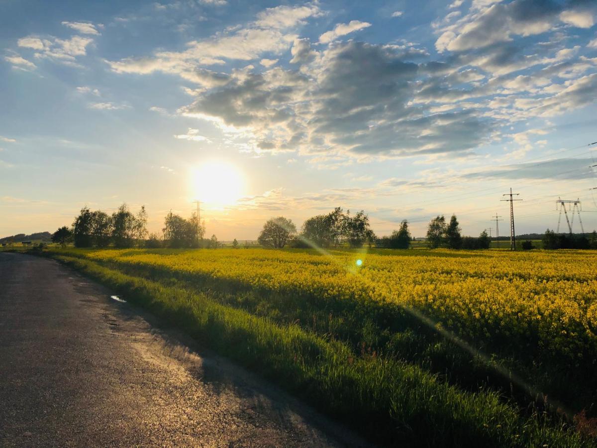 Nibylandia Motylkowa Vila Nowa Wies Grodziska Exterior foto